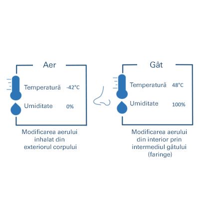 Schema de variație a temperaturii și umidității.